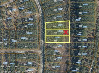 48195 S Bendapole Rd, Talkeetna, AK 99676