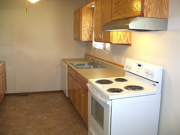 Kitchen stove and cabinets
