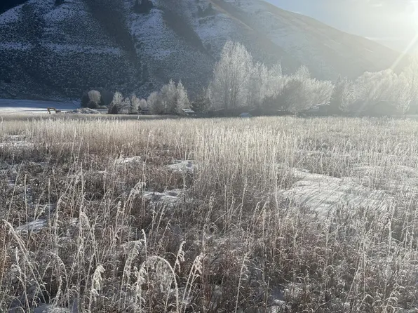 17 Honeybee Mdws #2, Afton, WY 83110