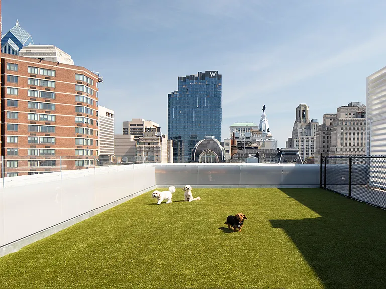 Penthouses at The Atlantic — Photo 12