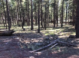 7156 E Robin Hood Rd, Williams, AZ 86046