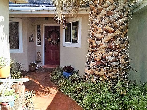 Enchanting Courtyard
