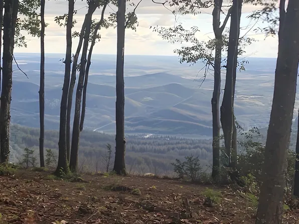 0 Mackerel Mountain Rd, Zirconia, NC 28790