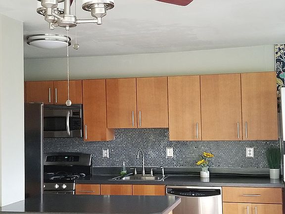 Gourmet Convection Ovens