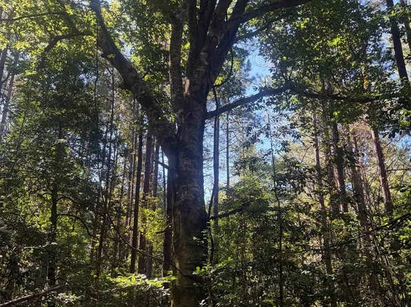 Ridge Rd, Malvern, AR 72104