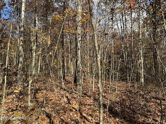 2nd image of 0 W Laurel Way Lot 13