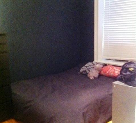 5th image of 337 Lexington Ave APT 4