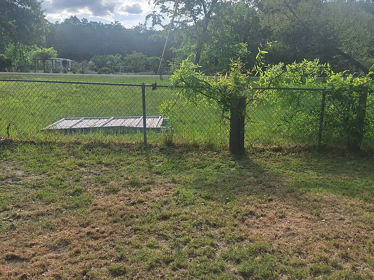 Back yard
