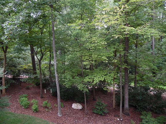 View from Deck of Back Yard