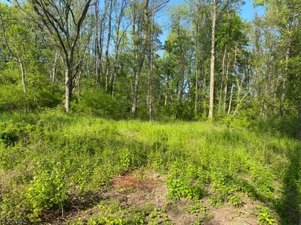 173 State Park Rd, Frelinghuysen Twp., NJ 07825