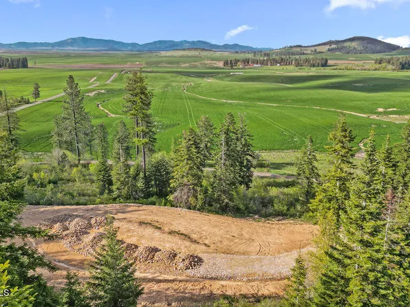 2 Lonely Moose Ln, Plummer, ID 83851