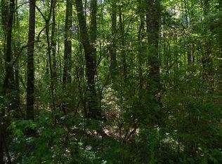 0 Palm St #2, Holly Springs, GA 30115