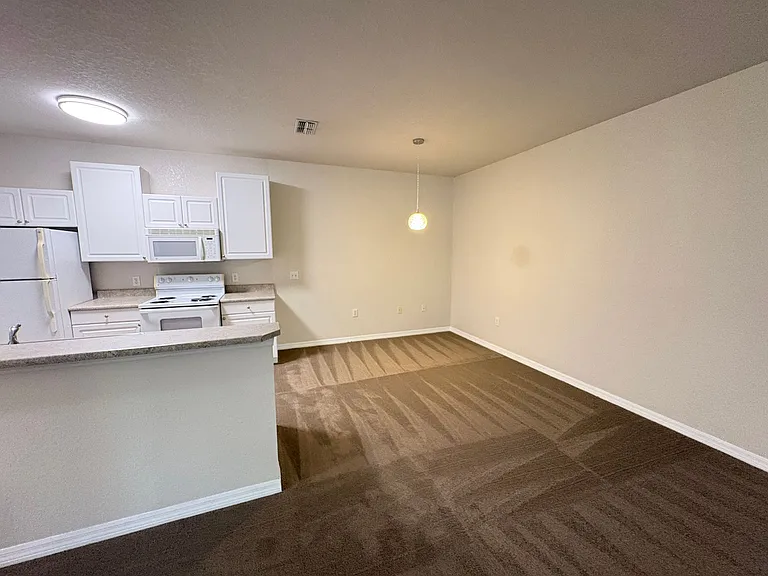 1004 Hemingway Cir — Photo 5
