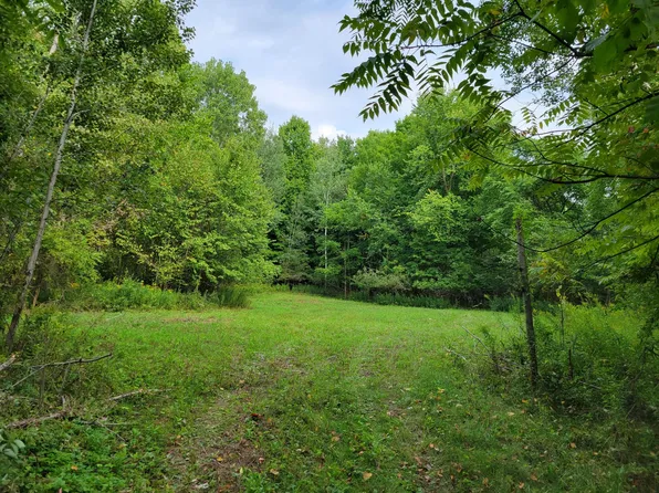 12826 Sparta Ave NW, Kent City, MI 49330