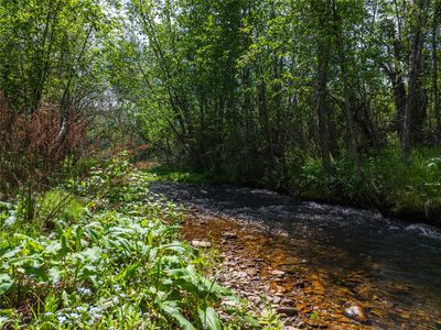 24305 Doney Ln, Arlee, MT, 59821