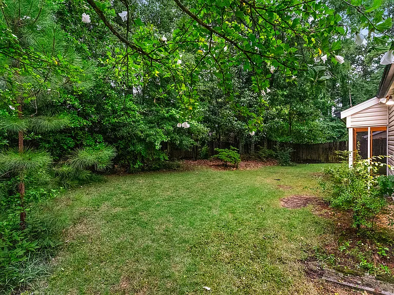 Backyard.