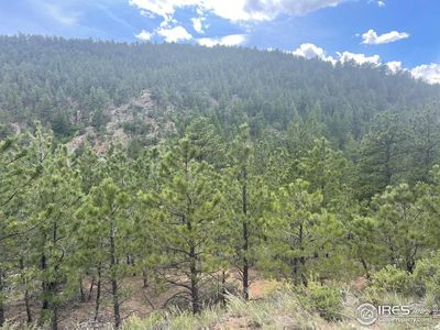 1111 Spruce Dr, Lyons, CO, 80540