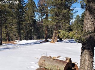 19 Serenity Cir, Florissant, CO 80816