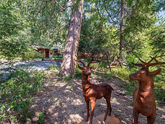 11th image of this home