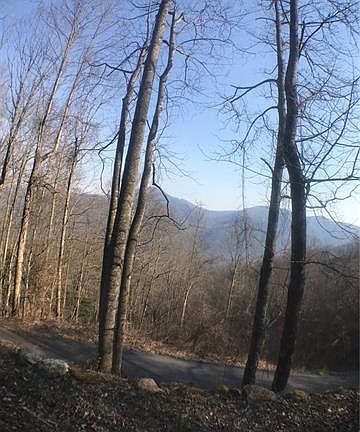 5th image of 00000 Valley View Dr #11
