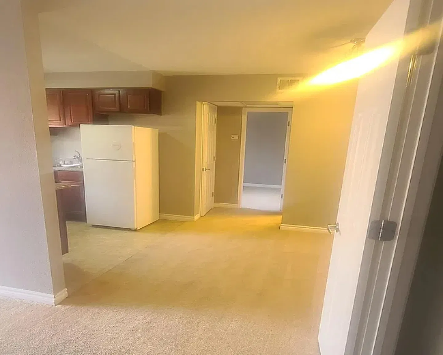 1 bed, 700 sqft, $1,190 — Photo 1