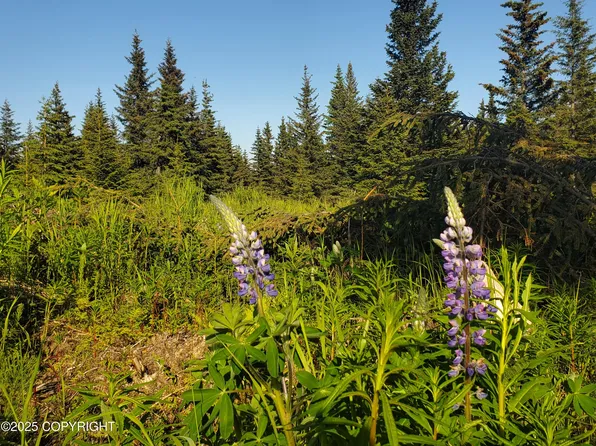 17438 Chefornak St, Ninilchik, AK 99639