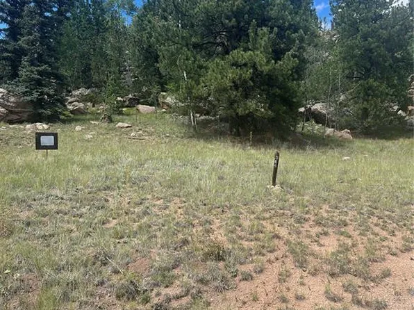 987 Eagle Rock Rd, Florissant, CO 80816