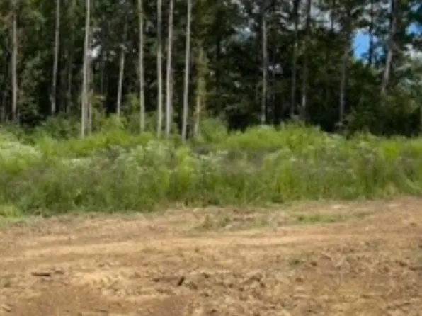 0 Moncure Marble Rd Lot 15, Terry, MS 39170