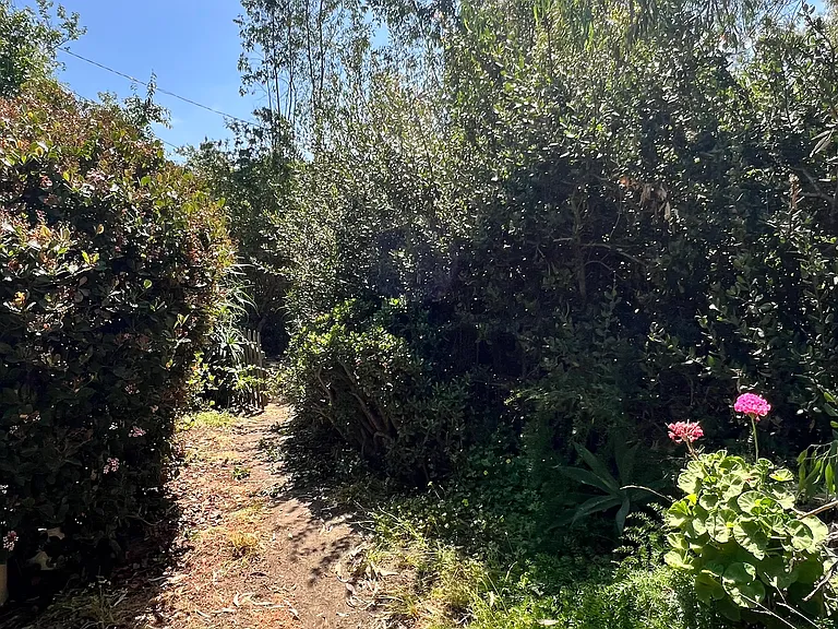 2200 S Coast Highway D.5 — Photo 15