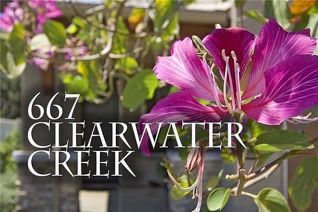 2nd image of 667 Clearwater Creek Dr