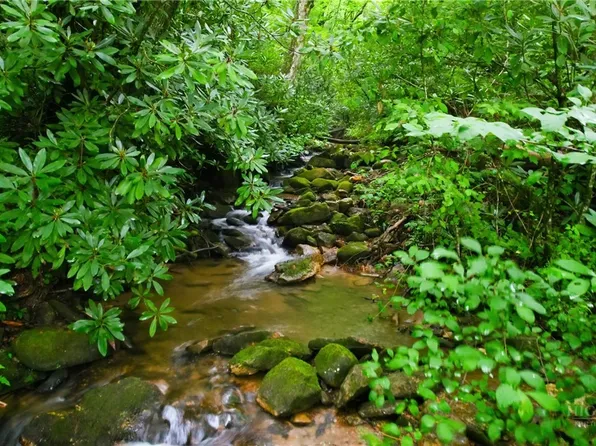TBD Big Ivy Road, Purlear, NC 28665