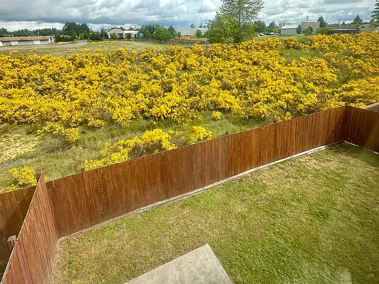 16124 Prairie Heights St SE — Photo 18