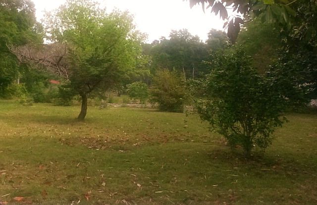 1st image of 19117 County Road 8