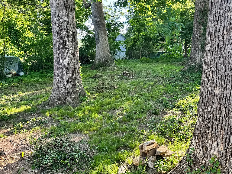 Backyard.