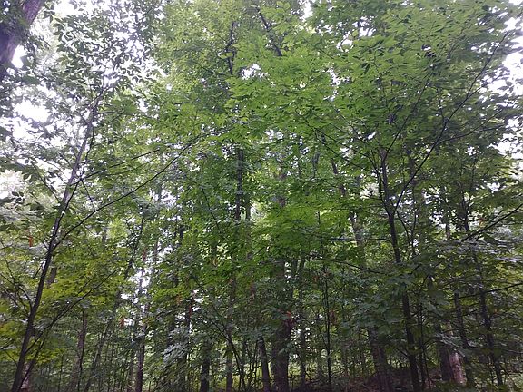 5th image of 10477 W Munro Lake Dr