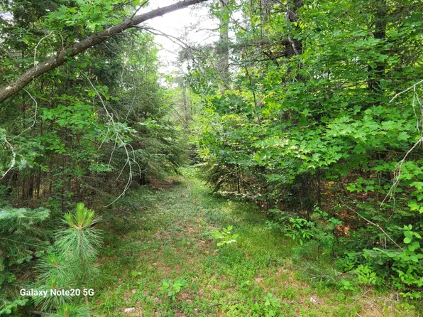 Long Lake Dam Ln, Phelps, WI 54554