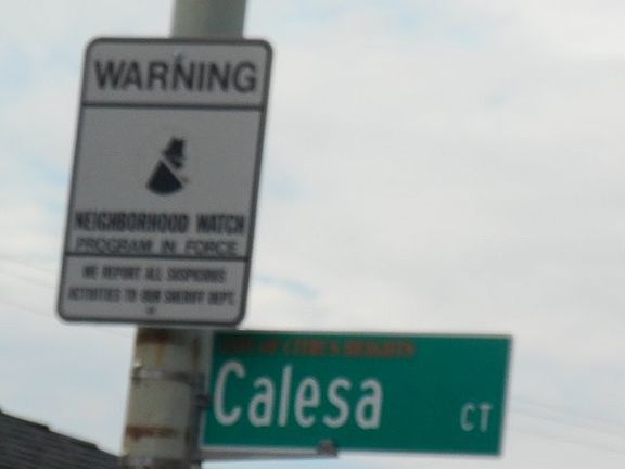 5th image of 7232 Calesa Ct