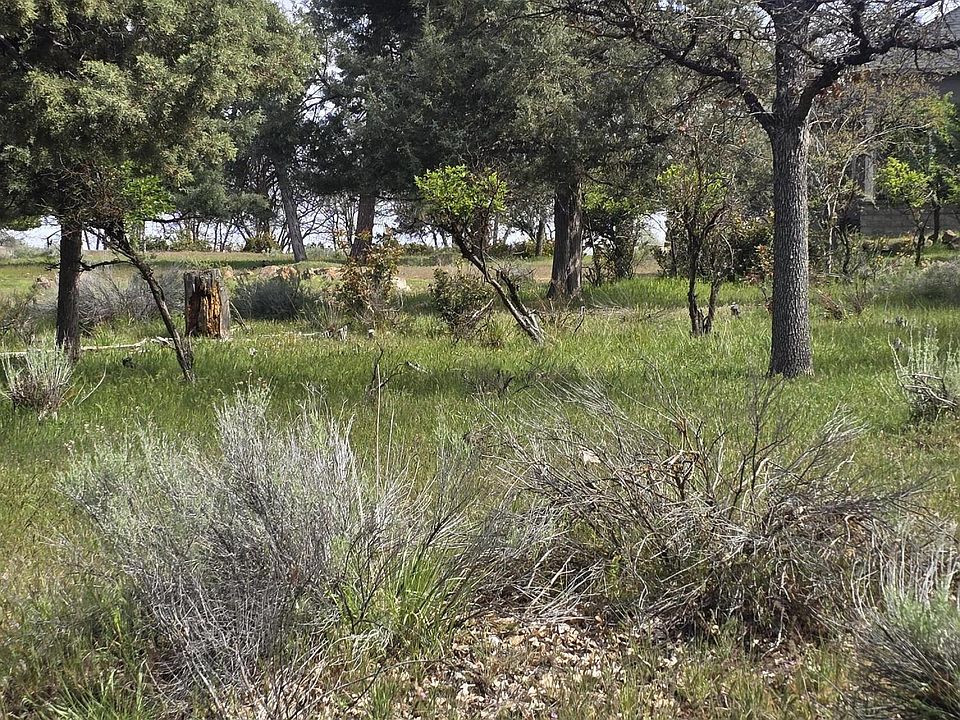 2nd image of Kestrel Rd #12