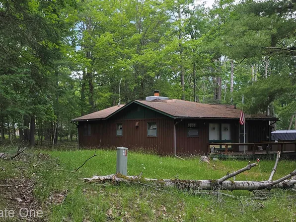 4233 N Pheasant Rd, Lincoln, MI 48742