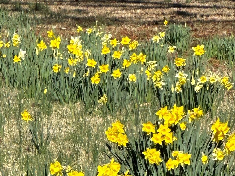 27872 Dixon Creek Ln, Easton, MD 21601 MLS MDTA2004462 Zillow