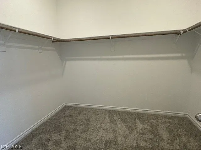 3296 Vasco Falls Ave — Photo 12