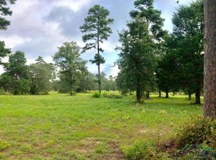 County Road 3419, Hawkins, TX 75765