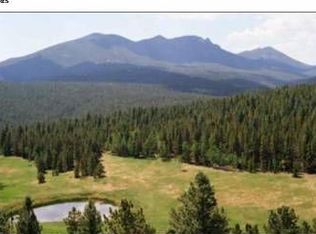 1185 County Road 99, Black Hawk, CO 80422