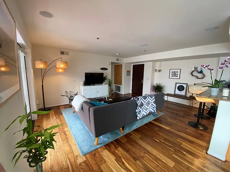 open concept living area with huge south facing windows