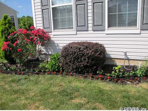 2nd image of 36 Sweet Pea Dr