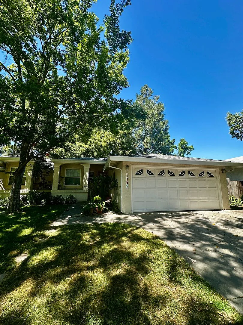 Building Photo - 1349 Camphor Ln