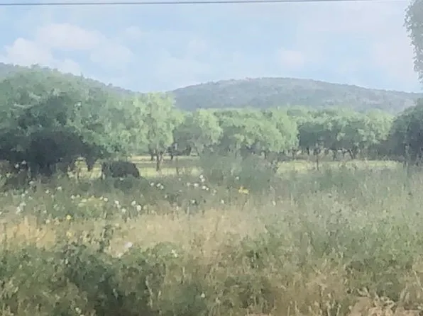 297 & 298 Elkhorn, Kingsland, TX 78639-6105