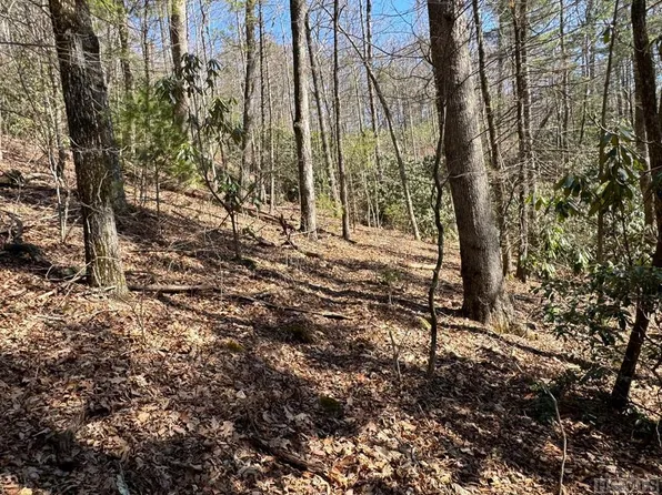 TBD Clear Creek Road, Highlands, NC 28741