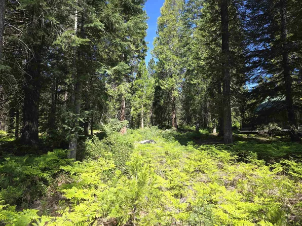 LOT 86 Panther Meadow Dr, McCloud, CA 96057