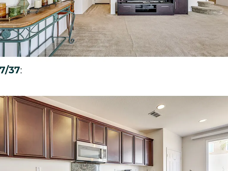 30312 Carob Tree Cir — Photo 45